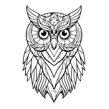 owl outline vector illustration, from AI