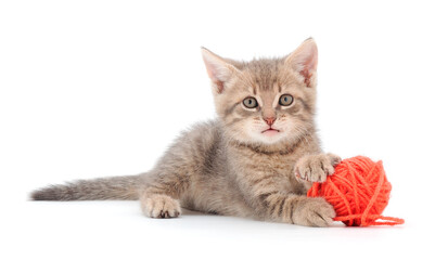 Kitten with ball of yarn.