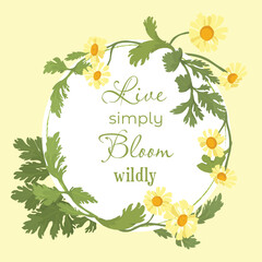 Vector garden illustration with the delicate herbs