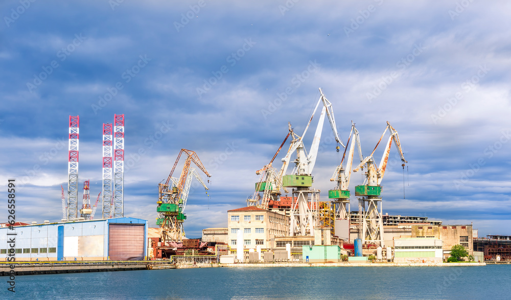 Wall mural cargo sea port with cranes vehicles, container stacks , supplies and trucks with goods, sea hub term