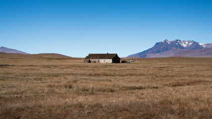 horse in the mountains