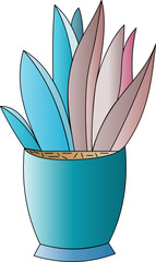 Plant with long, pointed leaves called Dracaena Marginata, Houseplant, green sprout in white pot. Plant for experiments and research isolated on white background. Potted plant for home decoration