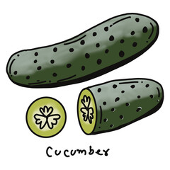cucumber drawing cartoon, cucumber for cooking and food