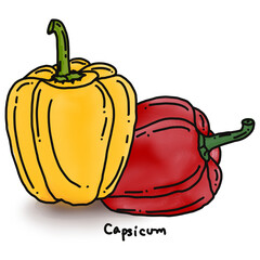 capsicum doodle drawing, line draw of fruit and food
