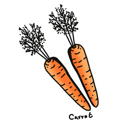 carrot drawing cartoon, carrot for cooking and food