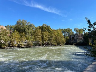 river in the forest