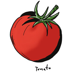 tomato drawing cartoon, tomato for cooking and food