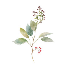 Watercolor Eucalyptus Clipart Set - Baby Blue & Greenery - Individual Elements - Transparent PNG - Digital Watercolor Greenery