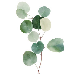 Watercolor Eucalyptus Clipart Set - Baby Blue & Greenery - Individual Elements - Transparent PNG - Digital Watercolor Greenery