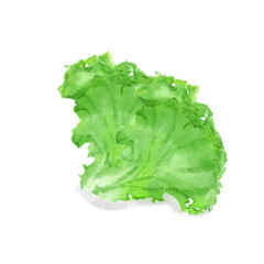 Lettuce