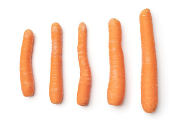 Ripe carrot on white