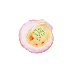 อยเชลล์ผัดกับครีมซอสเนยสมุนไพร