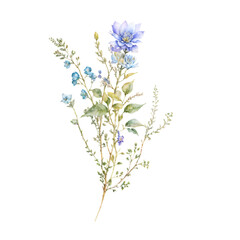 Obraz na płótnie Canvas Wild Floral Clipart Collection - Floral Clipart - Watercolor Wild Flowers - Transparent PNG - Premade Clipart - Wedding Clipart - Spring Clipart - High Resolution