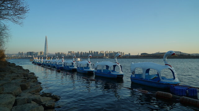 Duck boats lined up along the river in the evening, Seoul