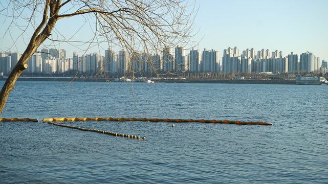 Yellow buoys on the winter river