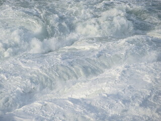 Obraz premium Original and Unusual Nature Photography