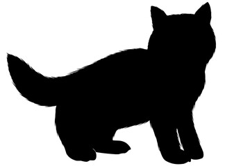 black cat silhouette