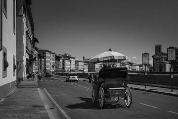 Carriage in the city of Pisa in Italy