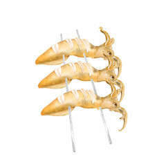 octopus on a white background