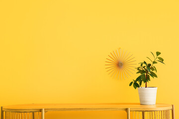 Green houseplant on table near yellow wall
