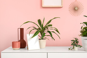 Green houseplants on chest of drawers near pink wall in room
