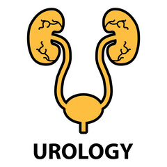 Urology health human icon, anatomy medical body bladder sign, biology vector illustration