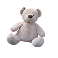 teddy bear isolated on white