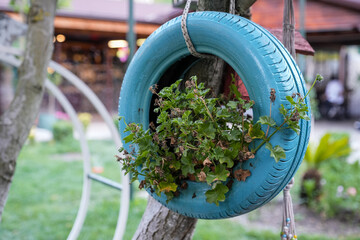 Beautiful flowers in an old decorative tire