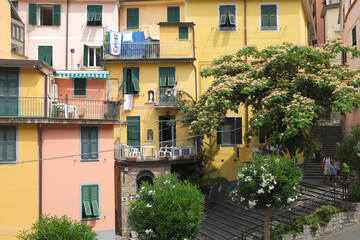 Fototapeta na wymiar Cinque Terre, Italy - view of colorful houses in Riomaggiore, a seaside town on the Italian Riviera. Summer travel vacation background. Postcard from Europe. Italian architecture exterior.
