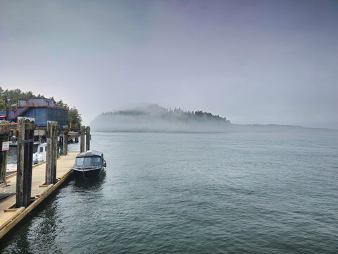Tofino harbour, foging day in felice island, Vancouver Island, British Columbia, Canada.