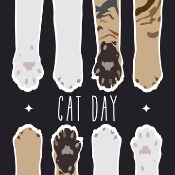 Google Marks International Cat Day With Adorable Paw Print Game - CNET