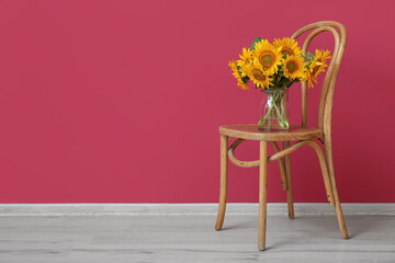 Vase with beautiful sunflowers on chair near burgundy wall in room