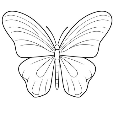 Butterfly, butterfly cartoon, butterfly black and white, line, cute