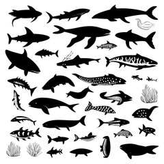 Obraz premium Collection of black set silhouettes of fish, seahorse, shells, octopuses, dolphins, sharks, whales, crabs and stingrays on a white background