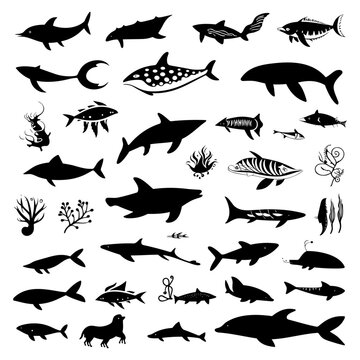A set of silhouette illustrations of various sea fishes in hand drawn style