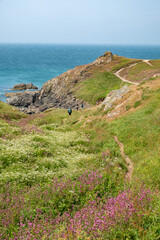 Southwest coast path Helston