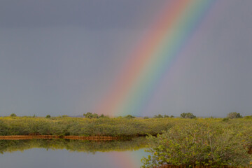 Rainbow over Central Florida Wetlands Post Storm Skies