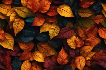 Gordijnen autumn leaves background © dehrig