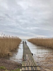 a wooden pier leading to the sea, and around dry reeds