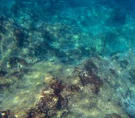 Fototapeta na wymiar Vista subacquea di un fondale roccioso, Sfondo subacqueo 54c58 