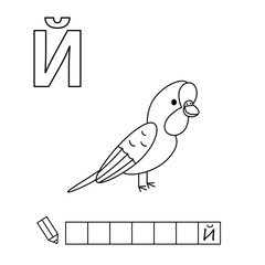Cartoon parrot coloring pages. Learning game for small children - write a word in Russian language. Vector alphabet for kids