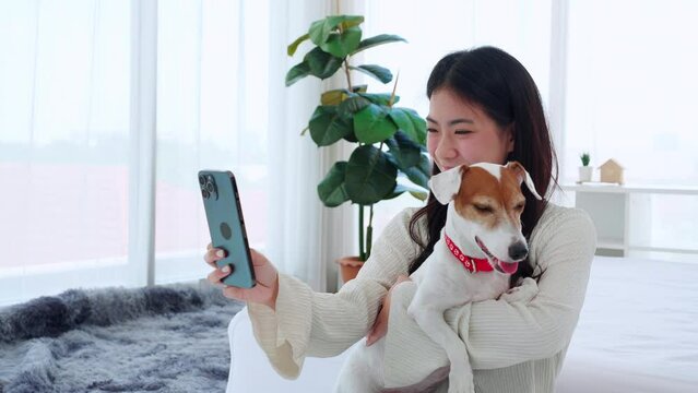 Beautiful young asian woman and dog selfie on smartphone together in bedroom at home, teenage and pet taking a photo for on social media with love of friendly and companion, lifestyles concept.