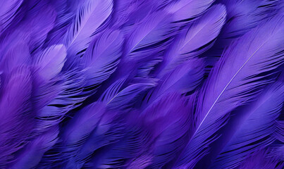 Feathers soft background. Purple bird feathers. For banner, postcard, illustration. Created with generative AI tools