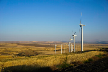Wind turbines in Eastern Washington Tri-Cities region of the Columbia Basin