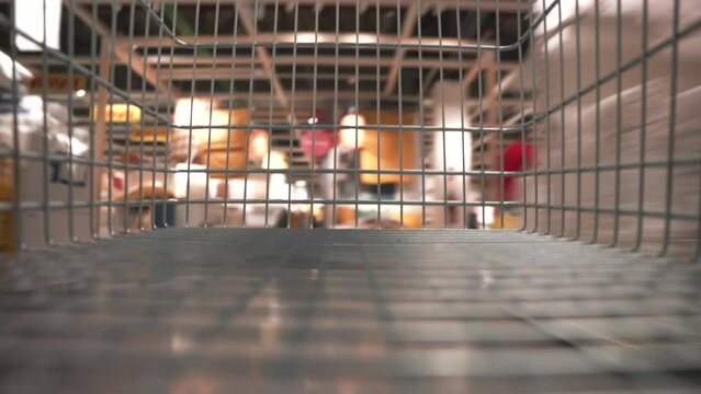 Timelapse close up view from the empty stainless steel shopping cart in a furniture and kitchenware retailer store with household goods. Fast motion in the shop with people in blurred background.