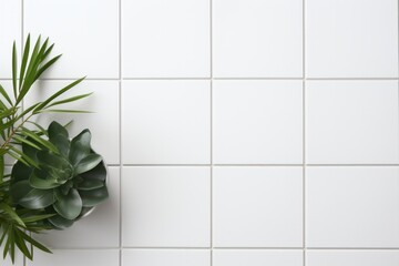 Aesthetic minimal white grid pattern wallpaper with green leaves in the pot. 