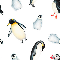 Watercolor seamless pattern with king penguins family and puffin bird isolated. Hand painting...