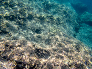Naklejka na ściany i meble Vista subacquea del Plemmirio con pesci che nuotano nell'acqua 1489