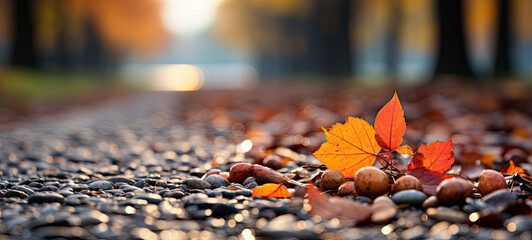 closeup of colorful autumnal fallen leaves on the floor, and blurred bokeh of autumnal landscape in the background