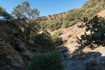 Fototapeta na wymiar ravine in the southern Sierra Nevada